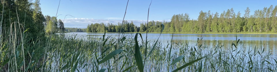 Tuulensuun veistospuisto ja ateljeetalo